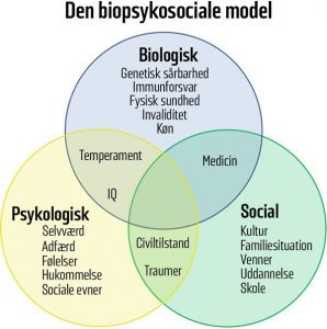 biopsykosocialmodel